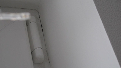 newbuild-2